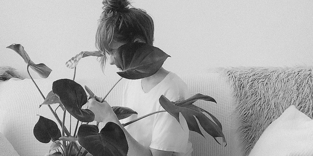 Five Houseplants for Serial Plant Killers