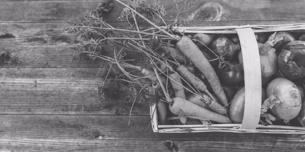 Planting a Vegetable Garden